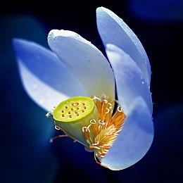 Konami新作《绝递必达》发售日宣传片 5月20日上市